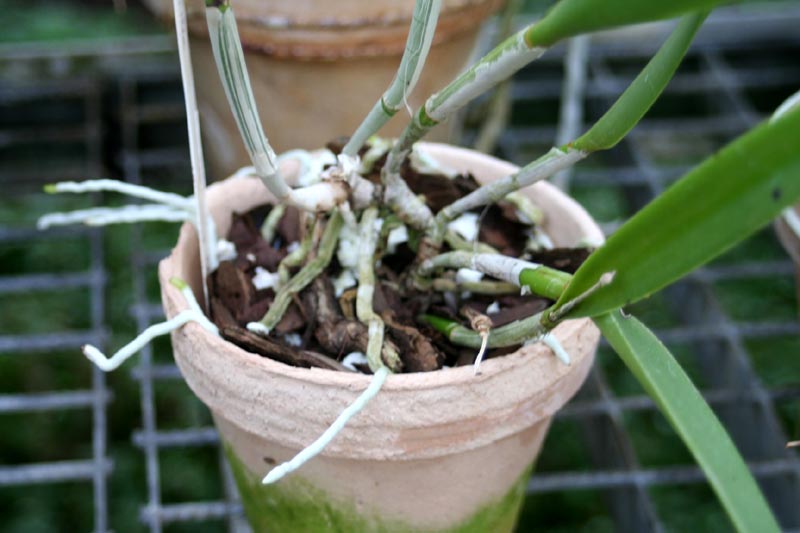 Killikus® Fotographie Killikus® Fotographie